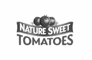 industrial-nature sweet tomatoes
